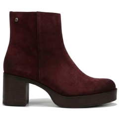 Botki damskie Dorking by Fluchos 103619 BOWY D9591-CA