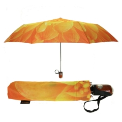 Parasolka damska kolorowa Susino AR 6093 22 pomarańczowy