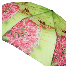 Parasolka damska kolorowa Susino AR 6093 23 róż/zieleń